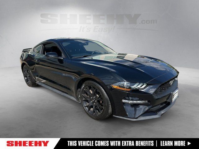2019 Ford Mustang