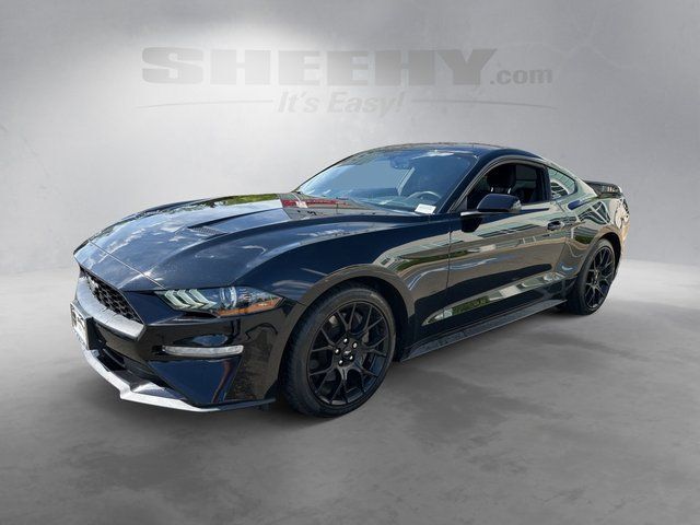 2019 Ford Mustang EcoBoost Chantilly VA