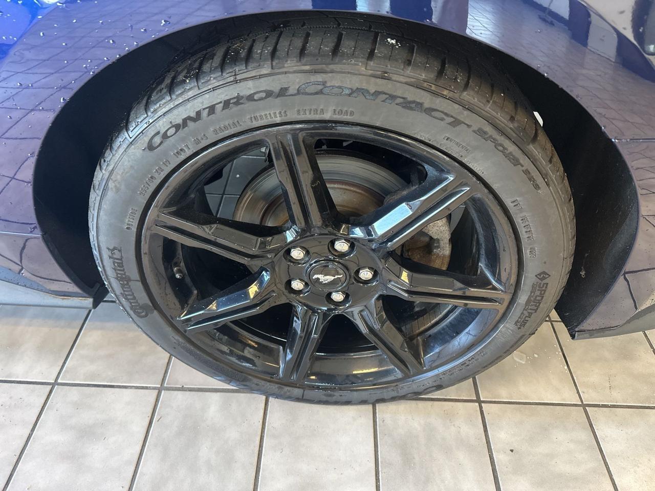 2019 Ford Mustang EcoBoost Richmond VA