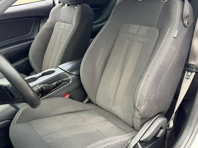 2019 Ford Mustang EcoBoost Springfield VA