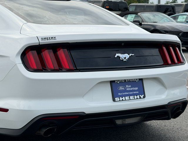 2019 Ford Mustang EcoBoost Springfield VA
