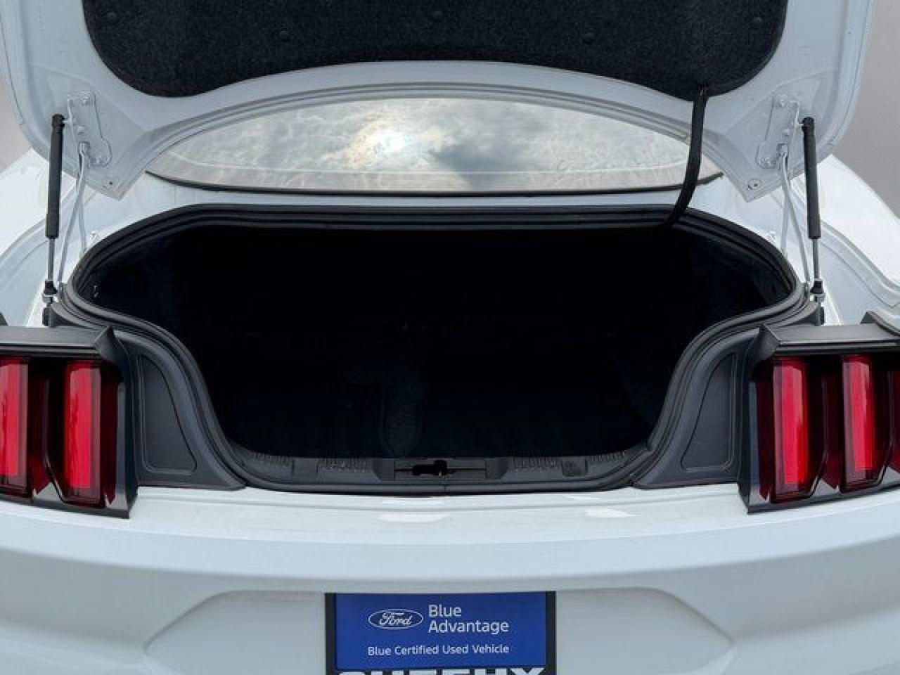 2019 Ford Mustang EcoBoost Springfield VA