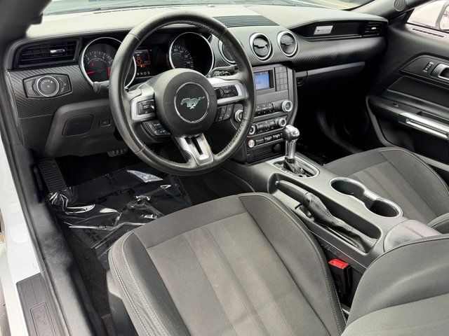 2019 Ford Mustang EcoBoost Springfield VA