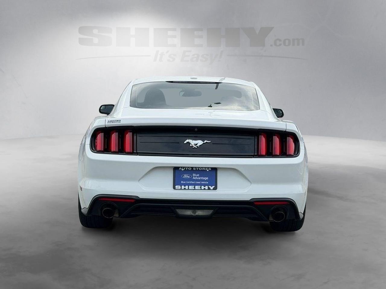 2019 Ford Mustang EcoBoost Springfield VA
