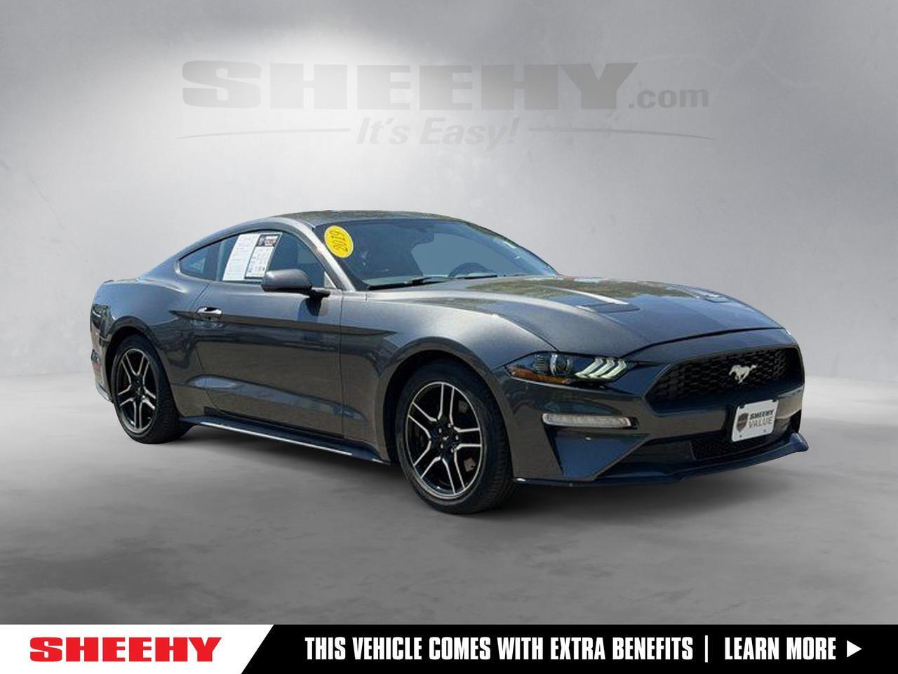 2019 Ford Mustang