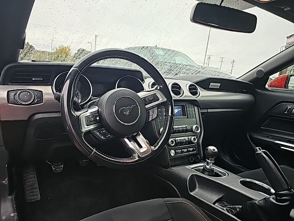 2019 Ford Mustang GT Akron OH