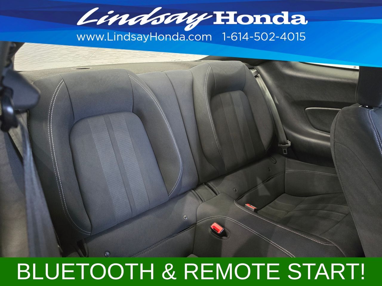 2019 Ford Mustang GT Columbus OH