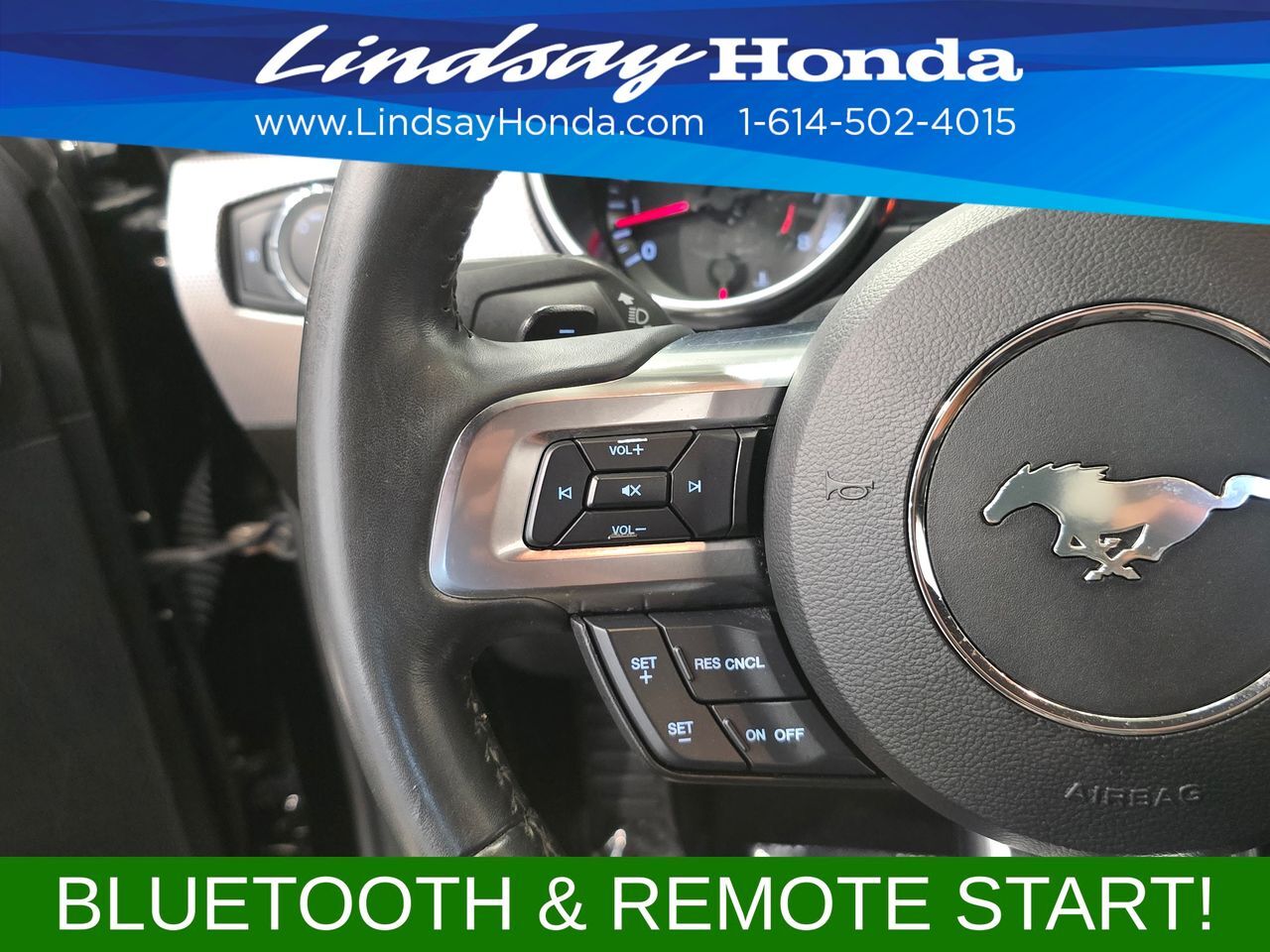 2019 Ford Mustang GT Columbus OH