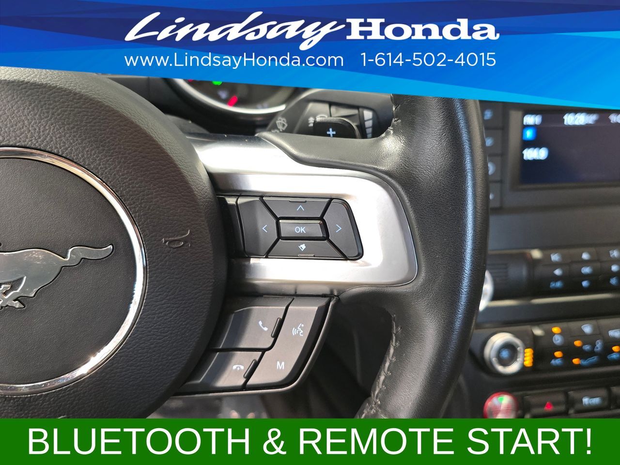 2019 Ford Mustang GT Columbus OH
