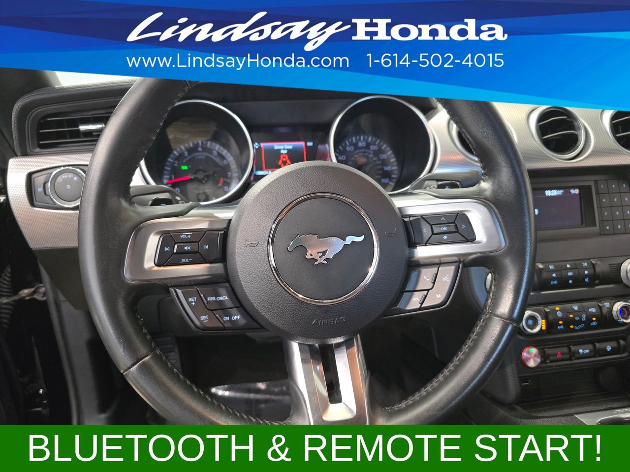 2019 Ford Mustang GT Columbus OH