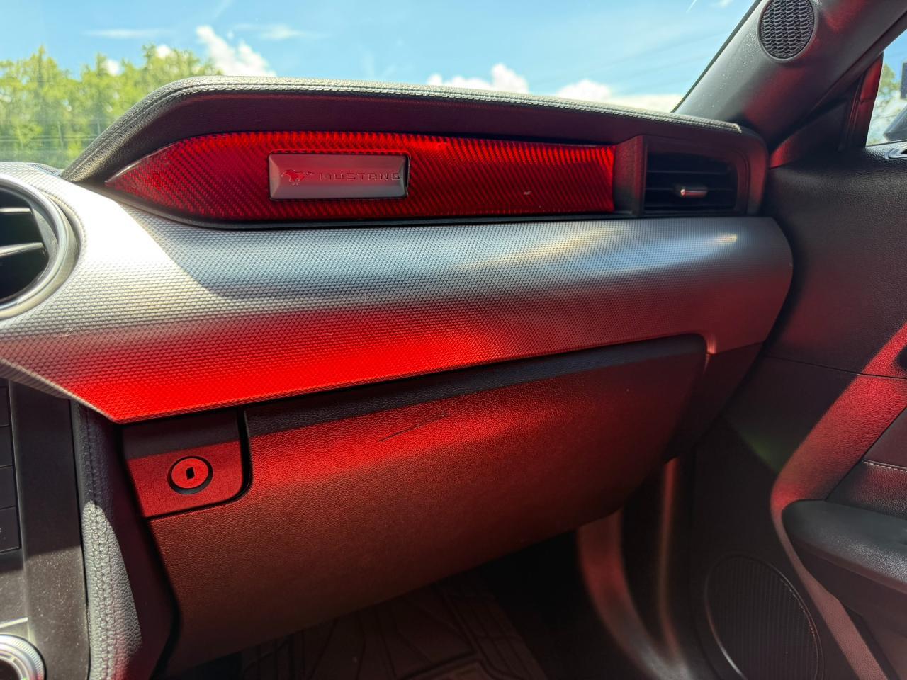 2019 Ford Mustang GT Fastback Jacksonville FL