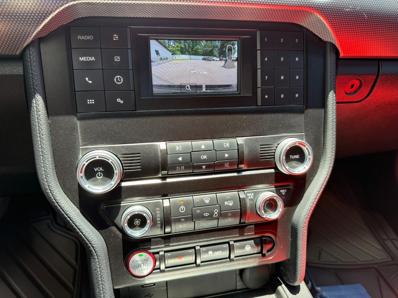 2019 Ford Mustang GT Fastback Jacksonville FL