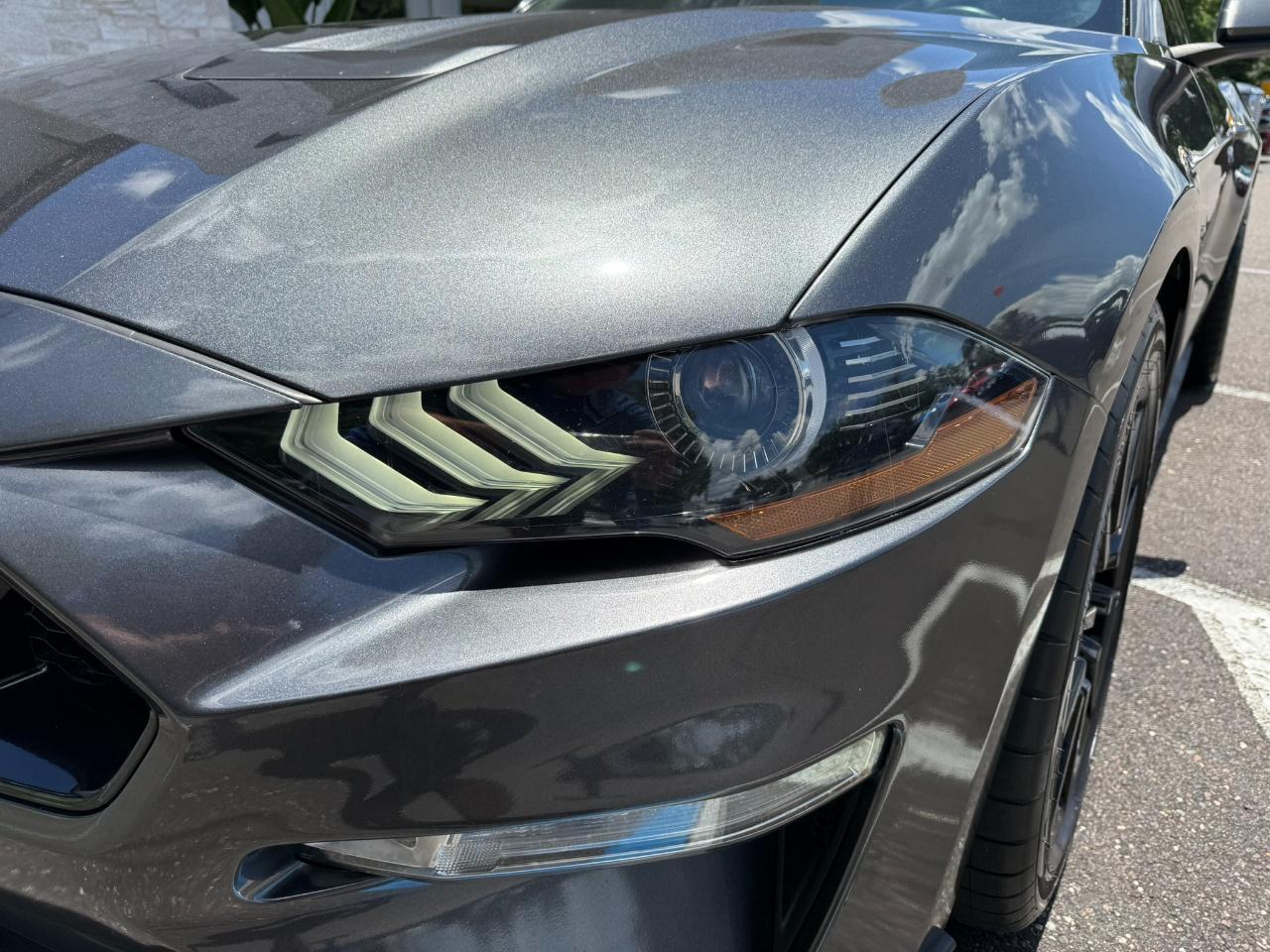 2019 Ford Mustang GT Fastback Jacksonville FL