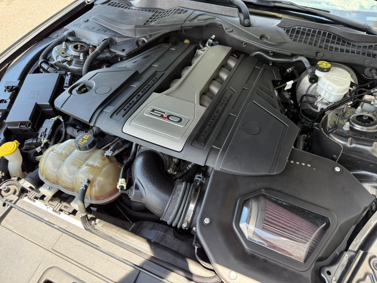2019 Ford Mustang GT Fastback Jacksonville FL