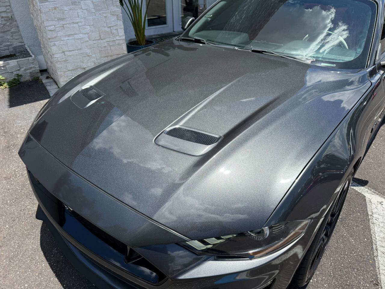 2019 Ford Mustang GT Fastback Jacksonville FL