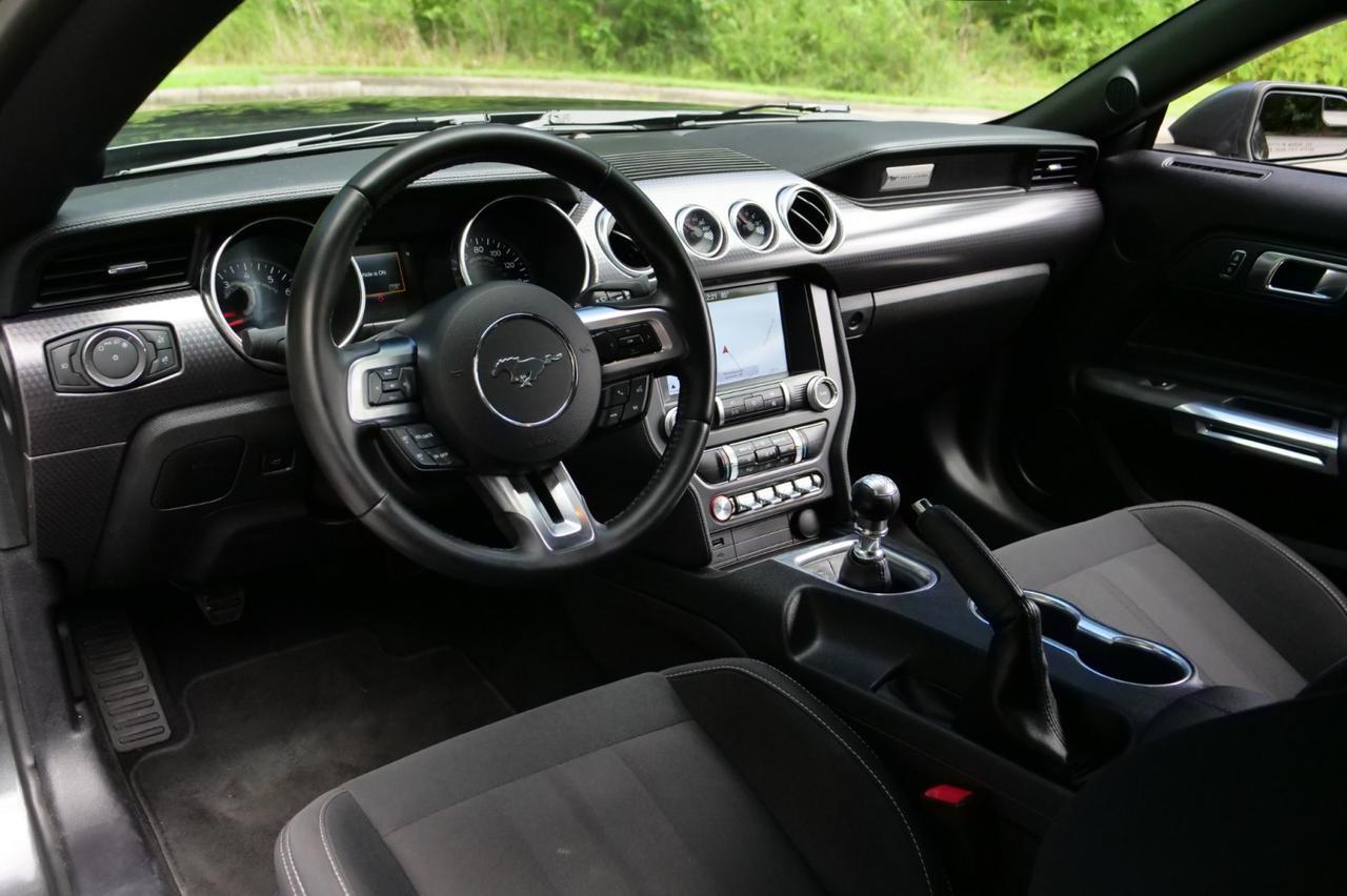 2019 Ford Mustang GT / GT Performance Package / Manual / 5.0L V8! Lincolnton NC