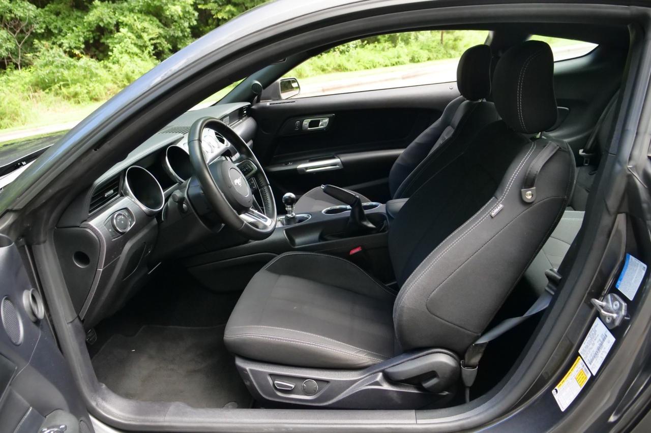 2019 Ford Mustang GT / GT Performance Package / Manual / 5.0L V8! Lincolnton NC