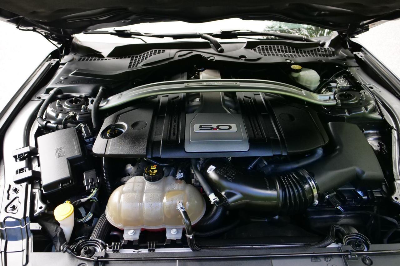 2019 Ford Mustang GT / GT Performance Package / Manual / 5.0L V8! Lincolnton NC