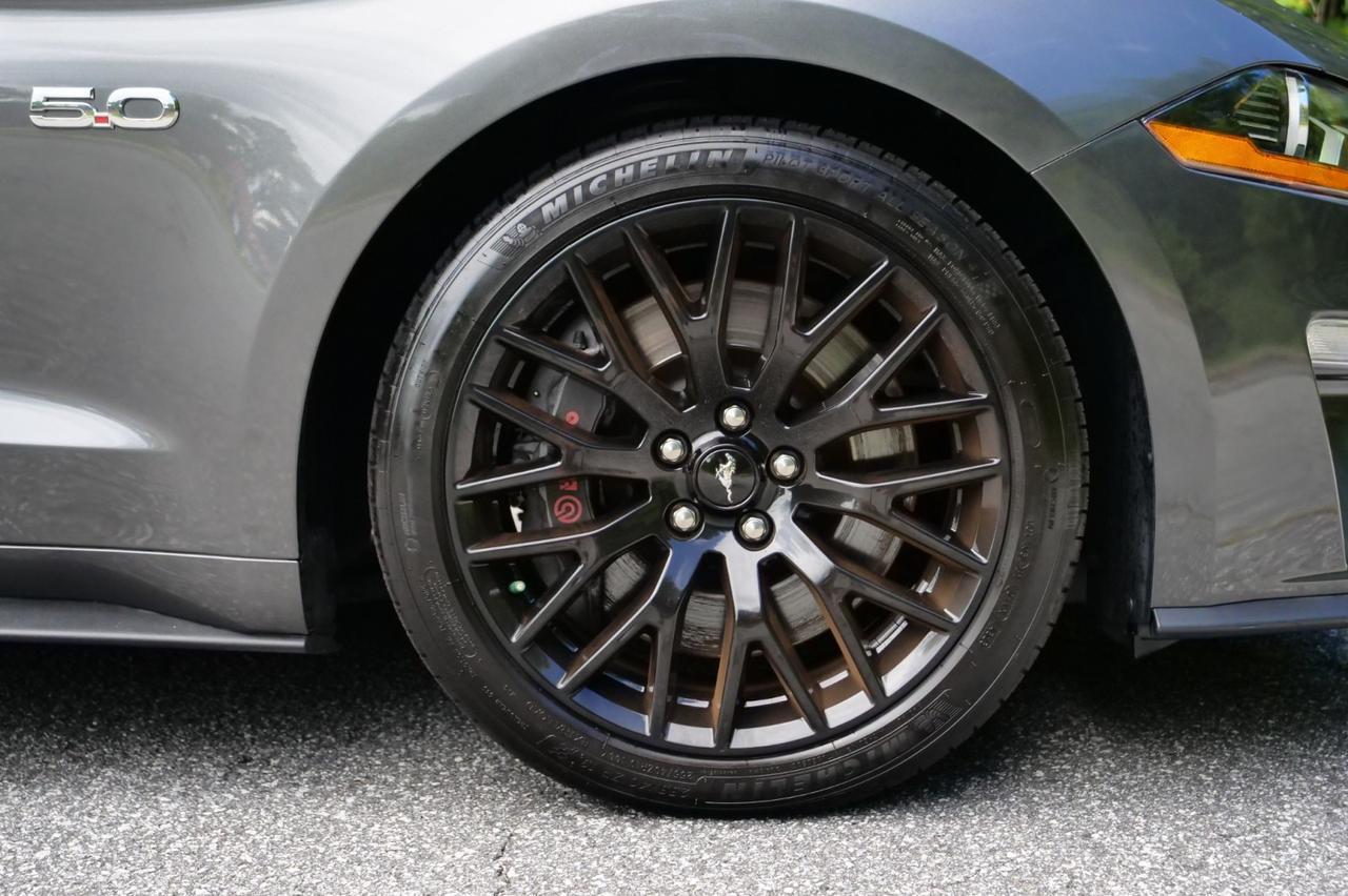 2019 Ford Mustang GT / GT Performance Package / Manual / 5.0L V8! Lincolnton NC