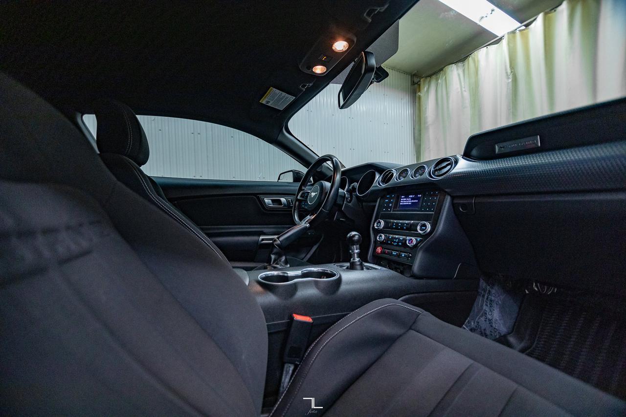 2019 Ford Mustang GT Manual BCam Red Deer AB