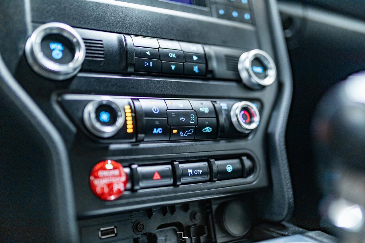 2019 Ford Mustang GT Manual BCam Red Deer AB