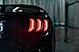 2019 Ford Mustang GT Manual BCam Red Deer AB 2019 Ford Mustang GT Manual BCam Red Deer AB