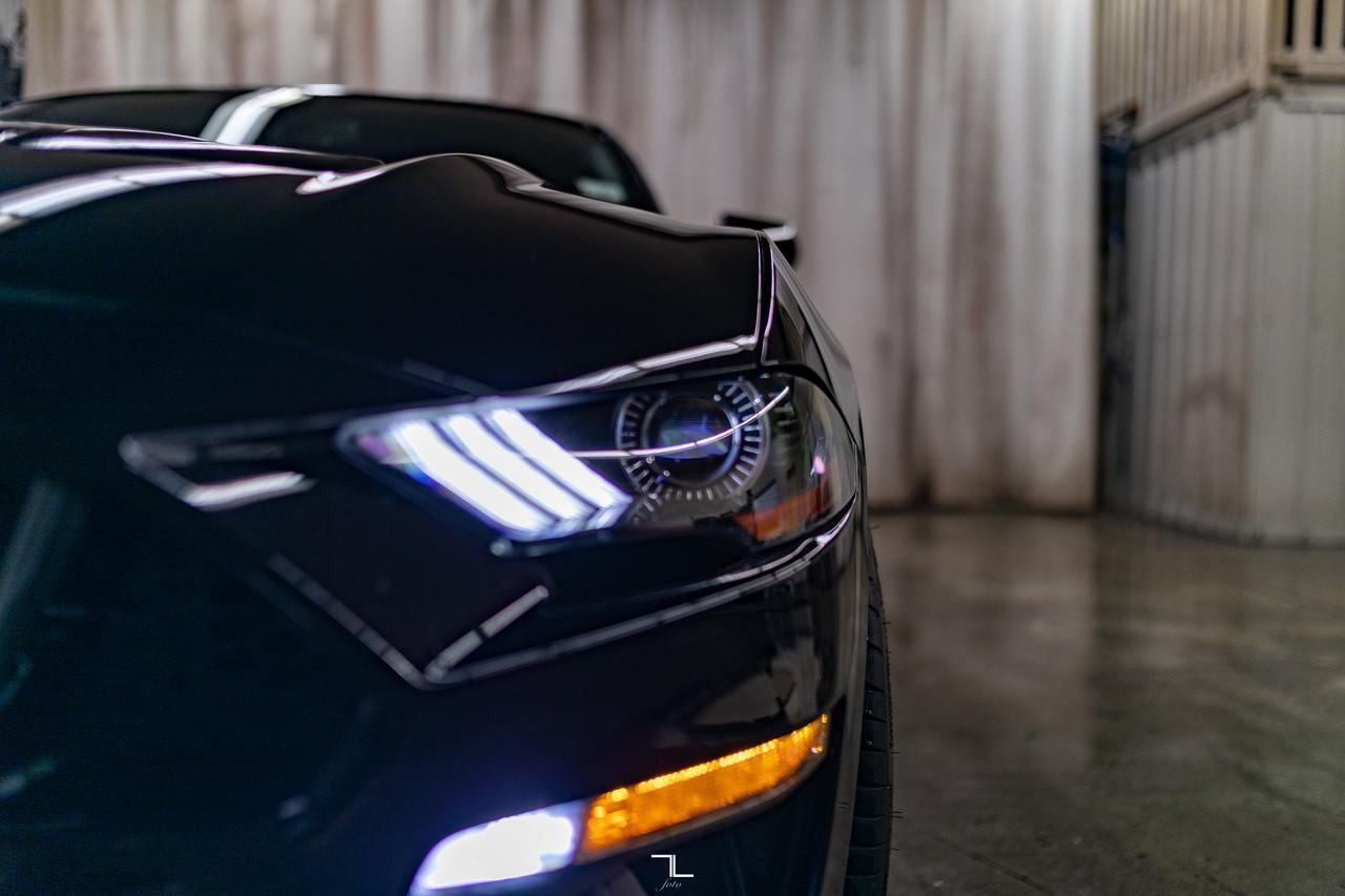 2019 Ford Mustang GT Manual BCam Red Deer AB