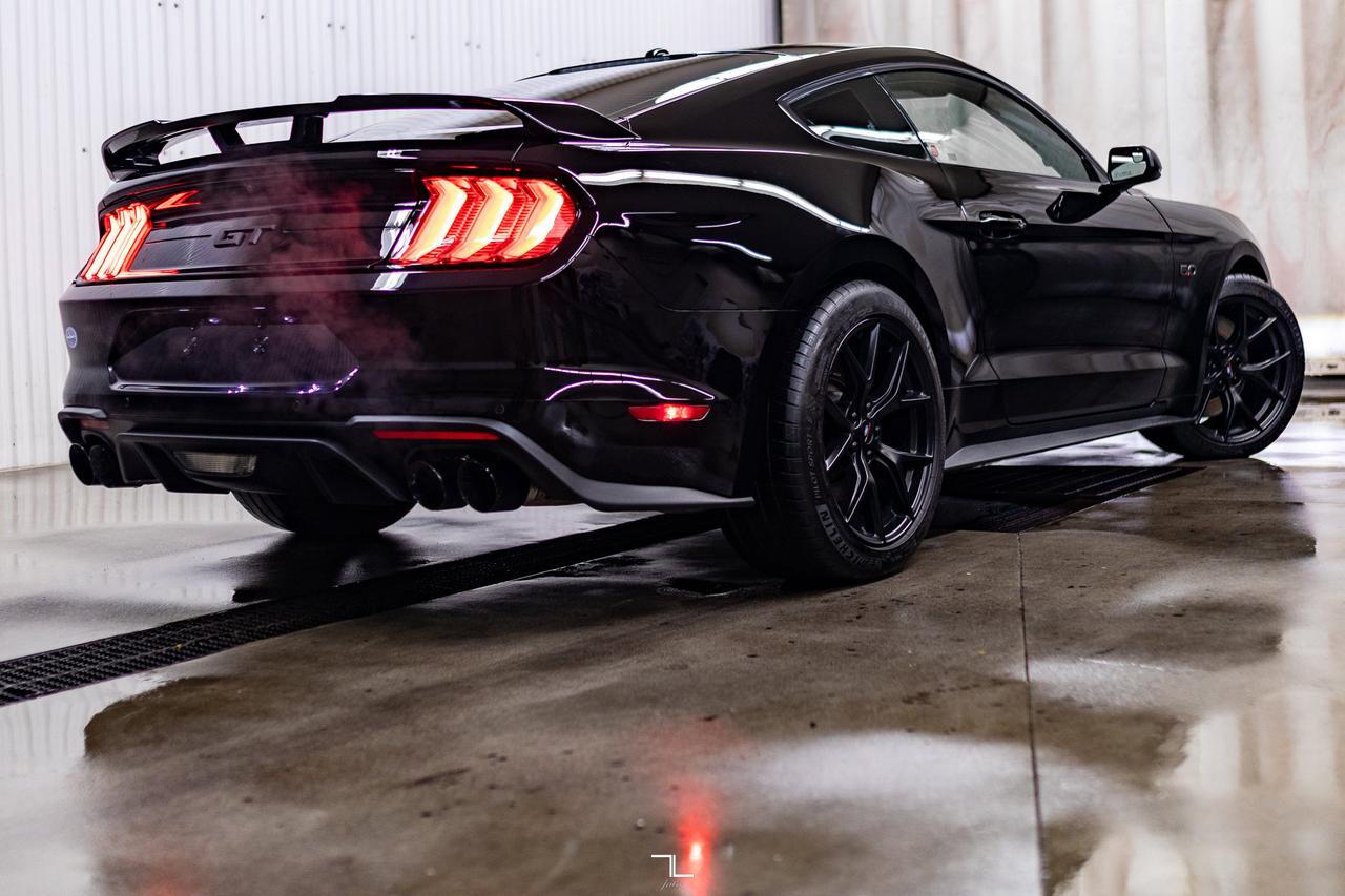 2019 Ford Mustang GT Manual BCam Red Deer AB