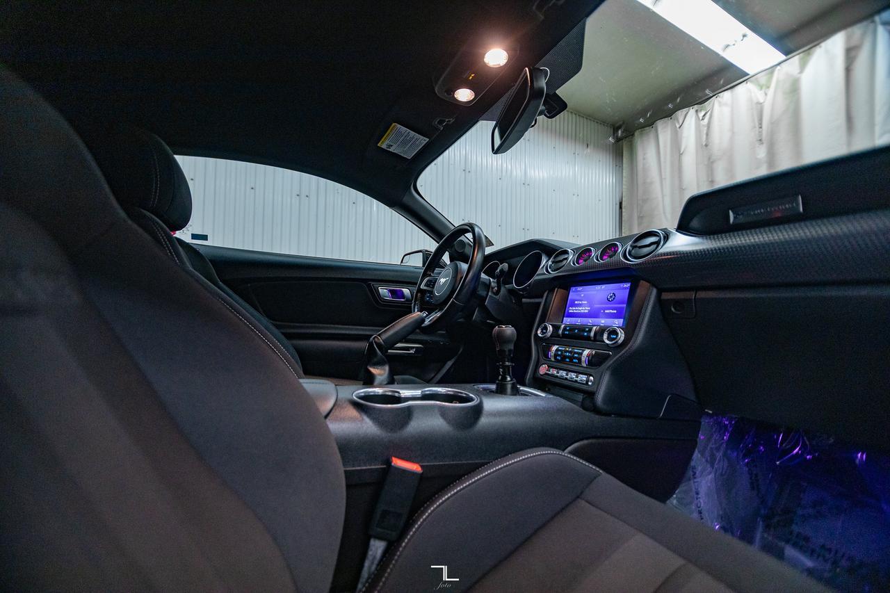 2019 Ford Mustang GT Manual BCam Red Deer AB