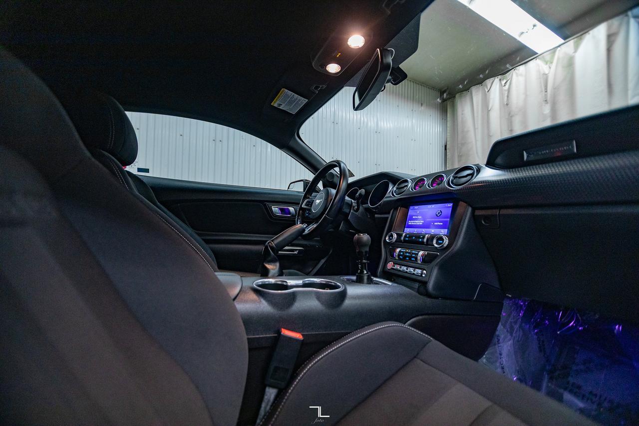 2019 Ford Mustang GT Manual BCam Red Deer AB