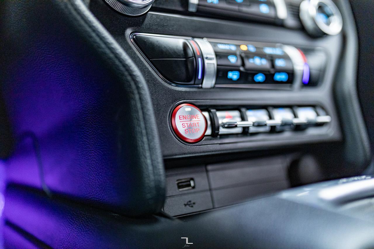 2019 Ford Mustang GT Manual BCam Red Deer AB