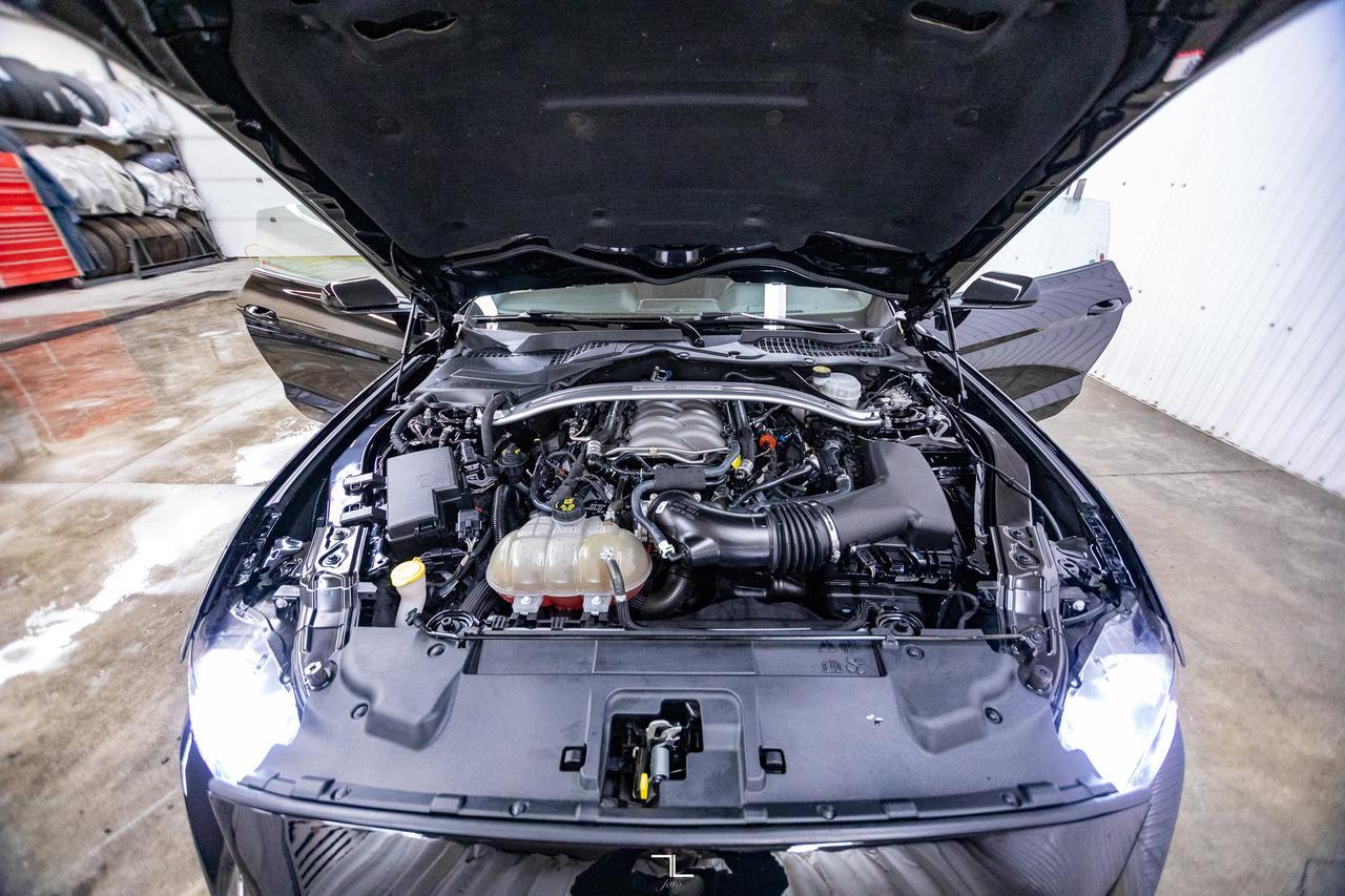 2019 Ford Mustang GT Manual BCam Red Deer AB