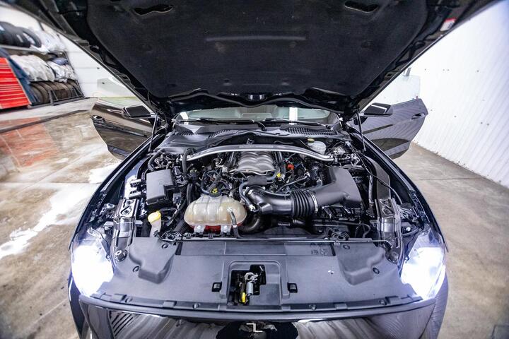 2019 Ford Mustang GT Manual BCam Red Deer AB 2019 Ford Mustang GT Manual BCam Red Deer AB