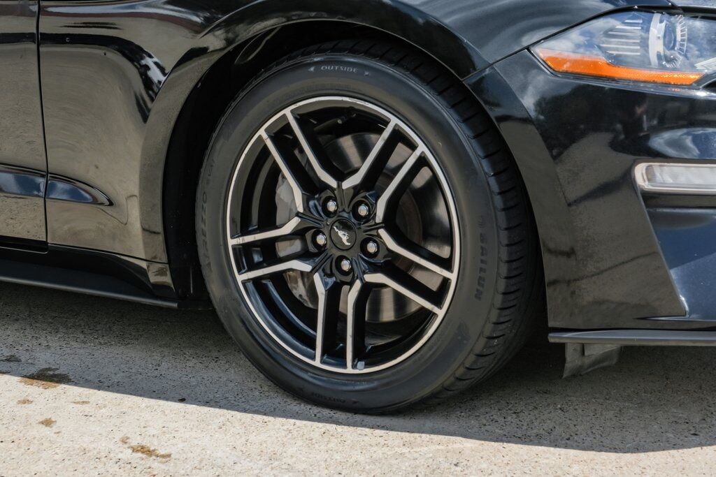 2019 Ford Mustang GT Premium Bradenton  FL
