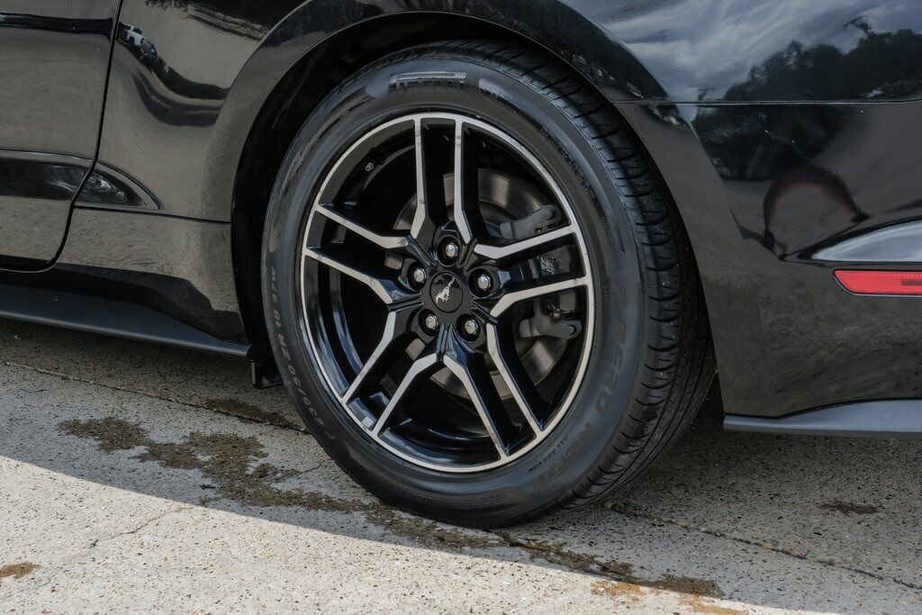 2019 Ford Mustang GT Premium Bradenton  FL