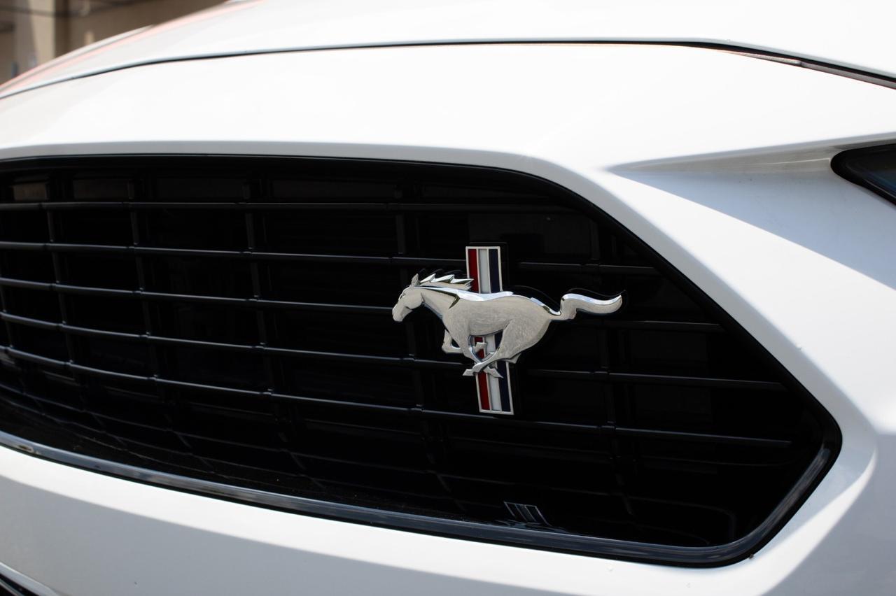 2019 Ford Mustang GT Premium California Special Edition Yonkers NY