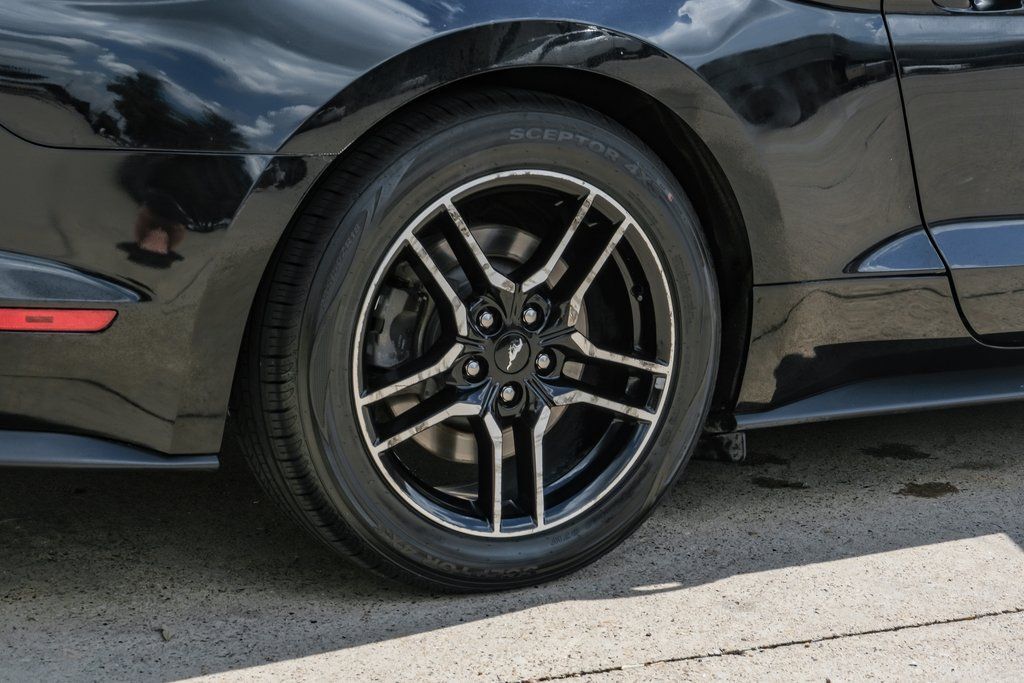 2019 Ford Mustang GT Premium Bradenton  FL