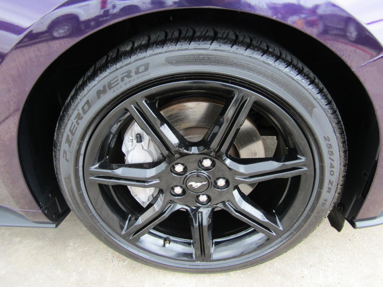 2019 Ford Mustang GT Premium Fastback Grand Prairie TX