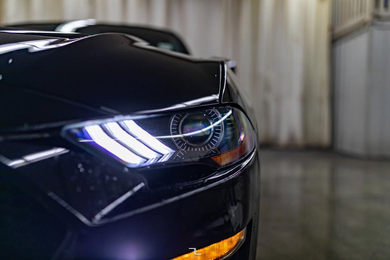 2019 Ford Mustang GT Premium Leather Nav BCam Manual Red Deer AB