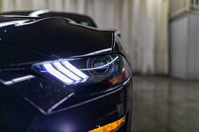 2019 Ford Mustang GT Premium Leather Nav BCam Manual Red Deer AB