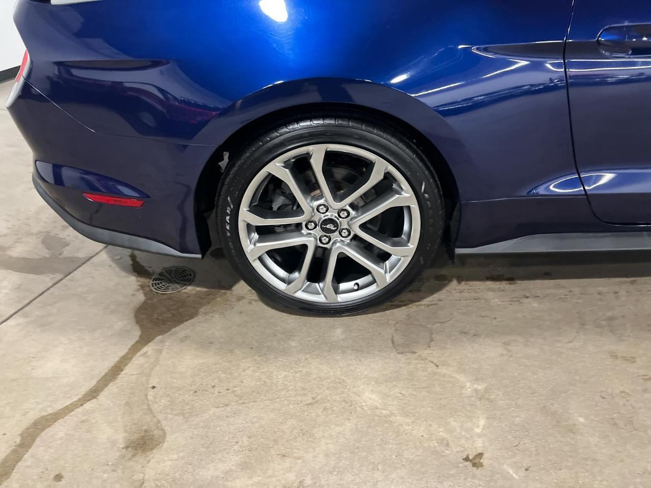 2019 Ford Mustang GT Premium Parker CO
