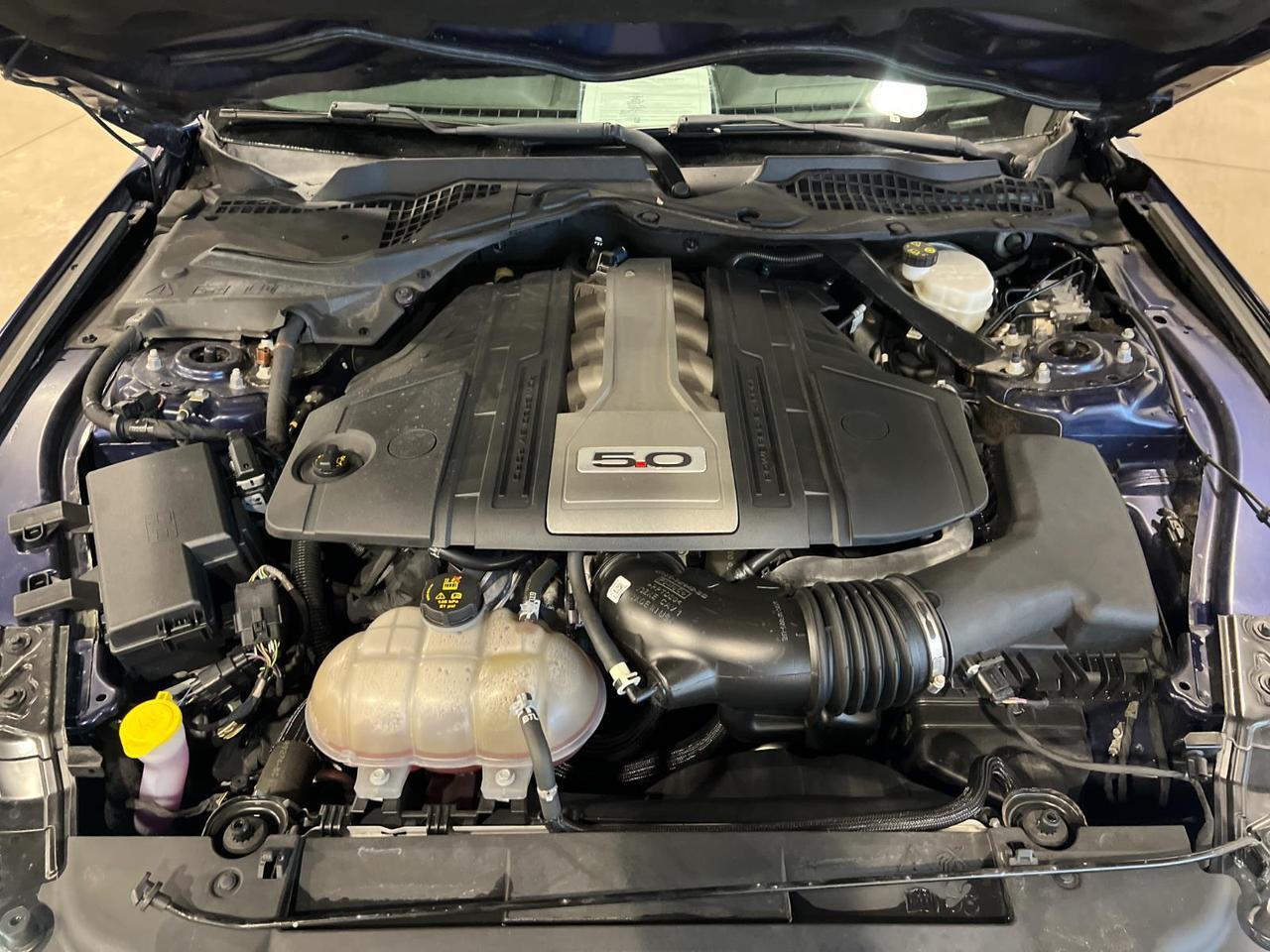 2019 Ford Mustang GT Premium Parker CO