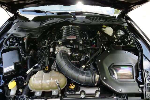 2019 Ford Mustang GT Premium / ROUSH Supercharger / Performance Package! High Point NC