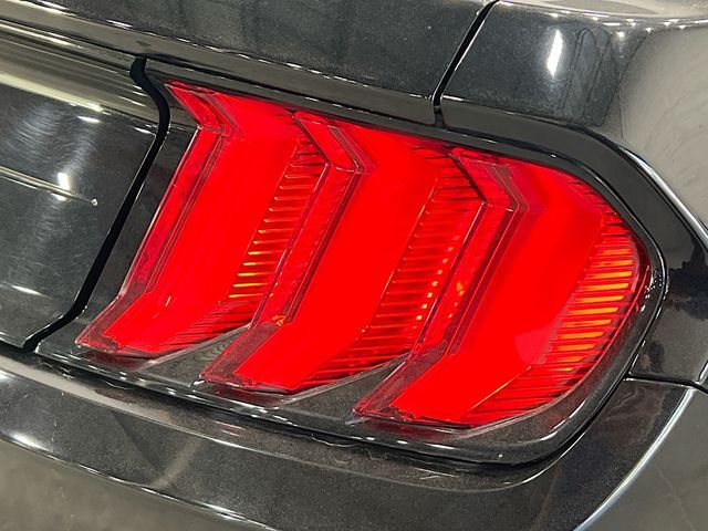 2019 Ford Mustang GT Premium Raleigh NC
