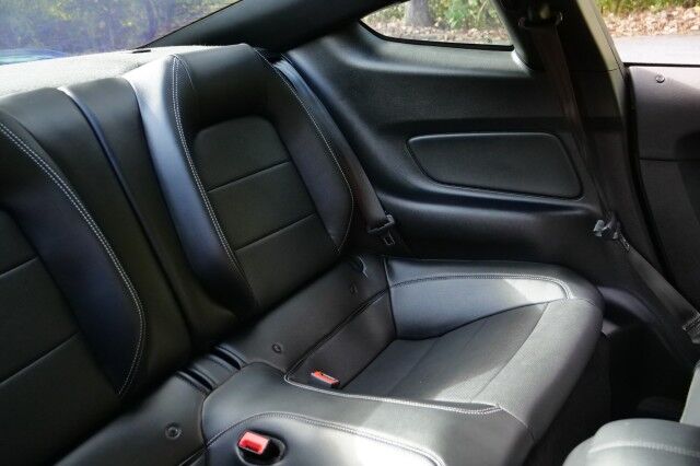 2019 Ford Mustang GT Premium / UPGRADES / B&O Sound / Cooled Seats! High Point NC
