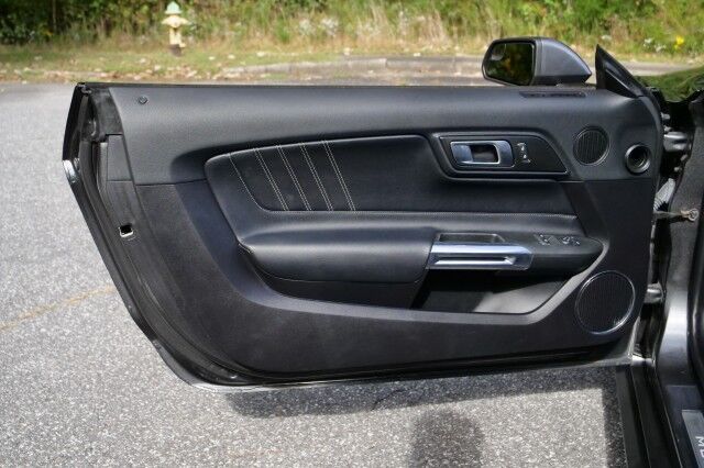 2019 Ford Mustang GT Premium / UPGRADES / B&O Sound / Cooled Seats! High Point NC
