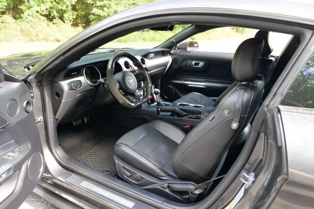 2019 Ford Mustang GT Premium / UPGRADES / B&O Sound / Cooled Seats! High Point NC