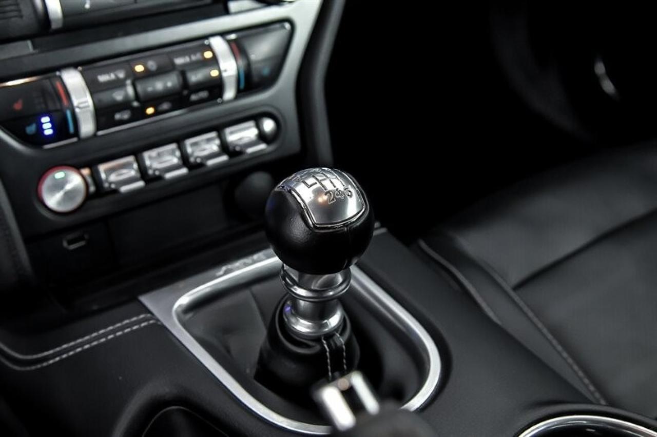 2019 Ford Mustang GT Premium Yonkers NY