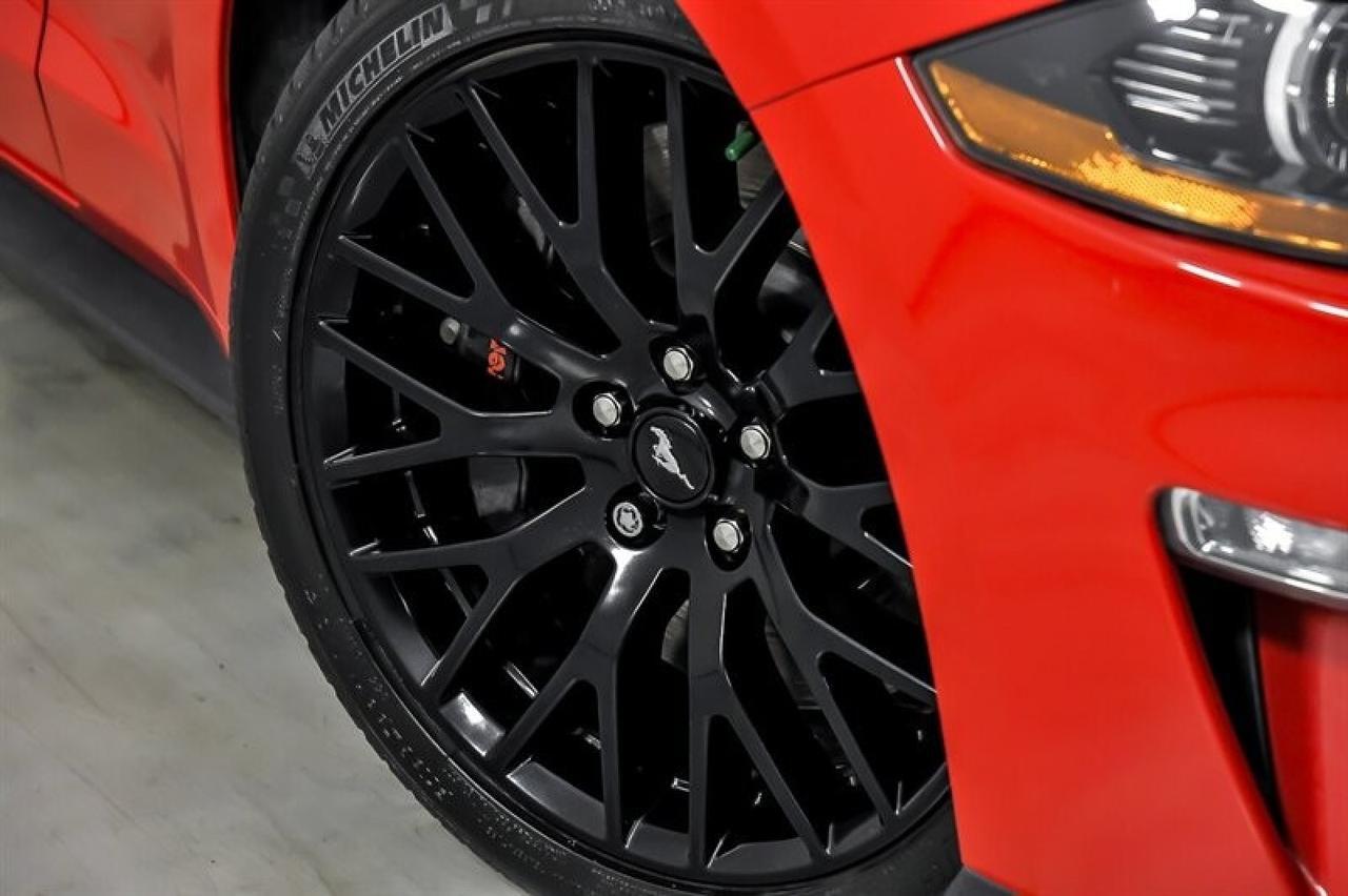 2019 Ford Mustang GT Premium Yonkers NY