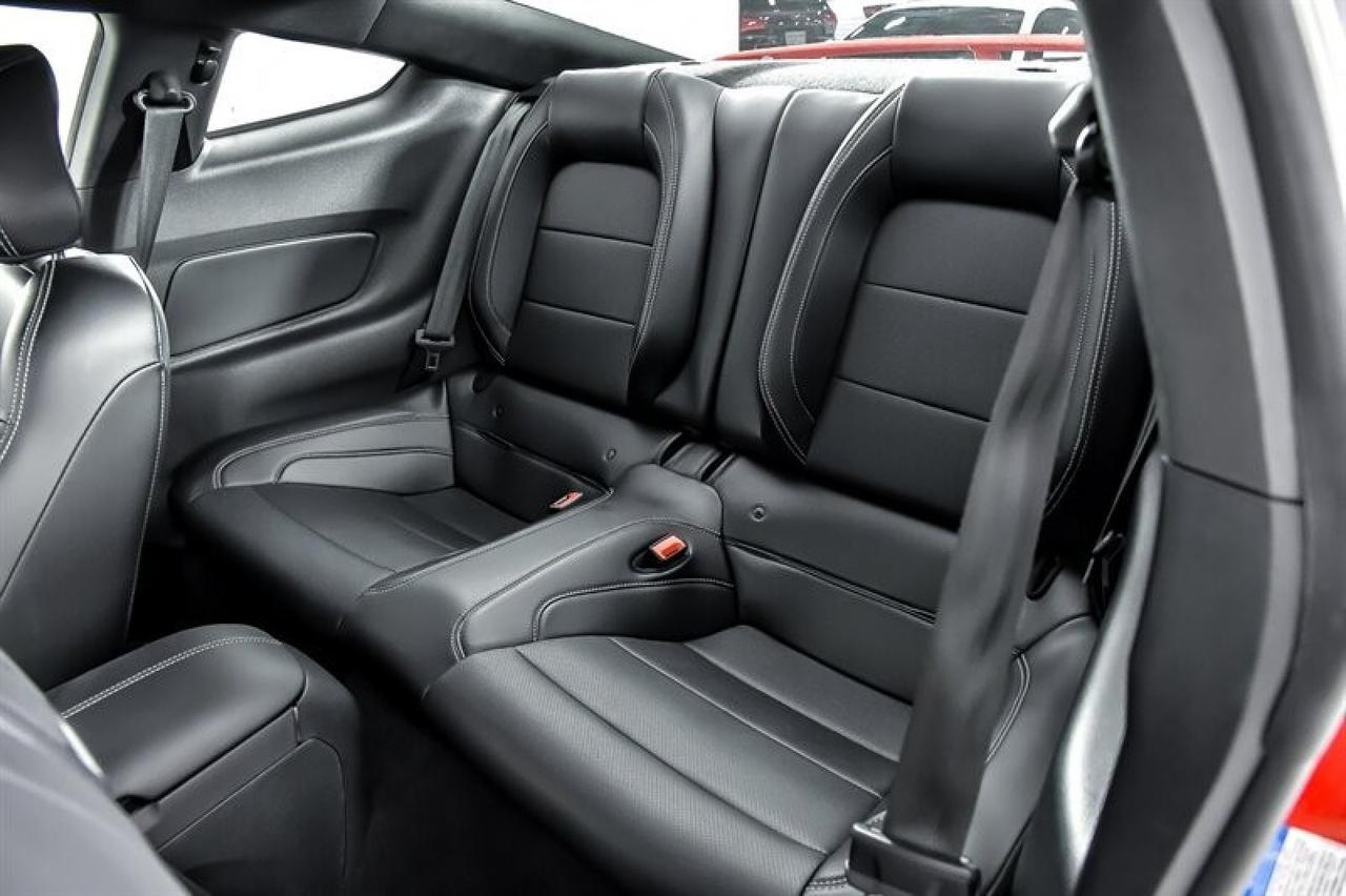 2019 Ford Mustang GT Premium Yonkers NY